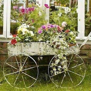 Meet your Posher, Lori